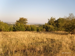 Vue sur le bassin de Thionville à l'est, situé à près de 160 mètres d'altitude contre 360 mètres pour le plateau